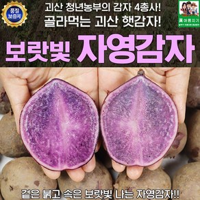 괴산 자영감자 대왕 3kg, 1개