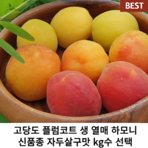 [국산/국내산] 당일수확 산지직송 고당도 플럼코트 생 열매 신품종 자두살구맛 꿀당도 자두 살구자두 프리미엄 과일