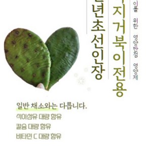 천년초 선인장 400g / 육지거북이 전용 사료 / 육지거북사료 / 육지거북영양제 / 칼슘 식이섬유 비타민 대량 함유