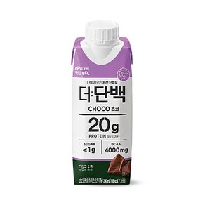 빙그레 더단백 드링크 초코 250ml/ 단백질 음료, 1개, 250ml