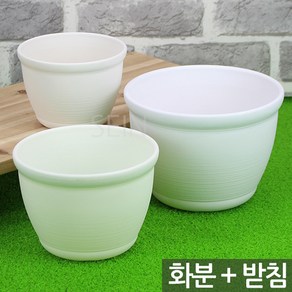 플라스틱 화분 + 받침 베이지 - 플라워포트 플분 인테리어화분 소형 미니화분 분갈이 선인장 식물 다육이화분 플라스틱화분, 07_Sein_플라워 포트+받침_화이트(2호), 1개