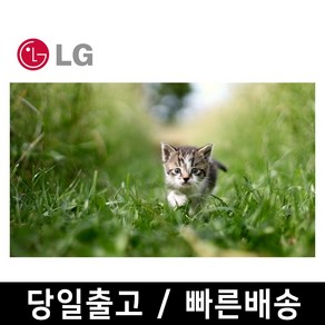 LG 65인치 최신형 4K UHD 스마트 TV 65UR8000 OTT 핫딜, 방문설치, 벽걸이형