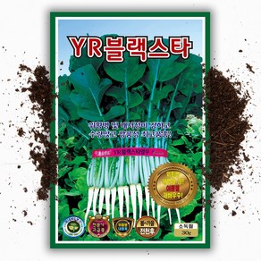 열무씨앗 30g 국내산 위황병 내서성 강한 품종 열무 씨 종자, 1개