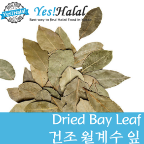 Yes!Global 월계수잎/Bay Leaf/Bay leaves/Daun Salam (Indonesia 50g)