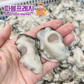 따봉프레시 수압으로 까서 상처 없는 황제 생굴, 1개, 2kg