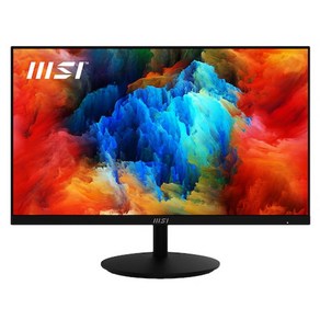 MSI FHD IPS 100Hz 모니터