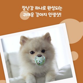 [강아지 쪽쪽이] 귀여운 애견 이갈이 장난감 / 치발기 / 소형견용, 1개, 강아지쪽쪽이-공룡