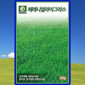 페레니얼 라이그라스 1kg 공원 녹지 조경용잔디 씨앗 (PK), 1개