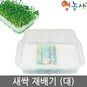 새싹재배기 대, 새싹재배기(대), 1개