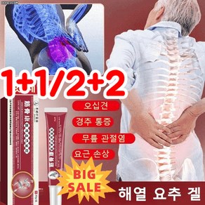 1+1근골형 해열 요추 겔 관절 경추진통 완화젤, (1+1), 20g, 2개