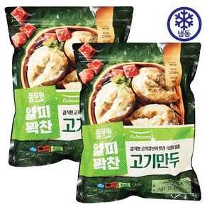 코스트코 풀무원 얇은피 고기만두 1320g, 코스트코 풀무원 얇은피 고기만, 2개, 1.32kg