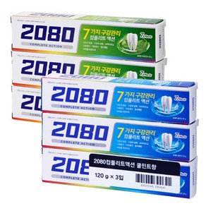 2080 컴플리트액션 치약 120g*3입 X 2개, 쿨민트+허브민트, 120g