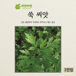 아람종묘 쑥 씨앗 1만립, 1개