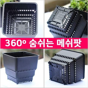 다육맘 메쉬팟 숨쉬는 특허화분(블랙), 받침S (9cm)