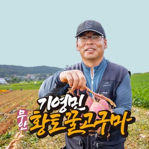 [착한농부] 기영민 무안 황토땅 꿀고구마 10kg #이렇게 달수가, 특상혼합 5kg (90-300g이내)