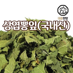 대흥한방 상엽(뽕잎) 600g 국내산