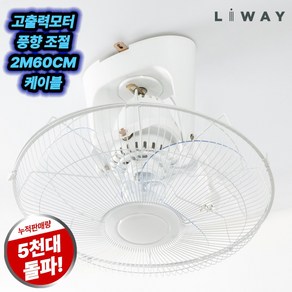 리웨이 천장용 선풍기 업소용, LF701W
