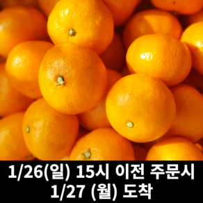 12bix 당도선별 고당도 타이벡감귤, 1개, 5kg(S)