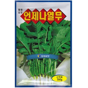 영농사 언제나 열무씨앗 500g 단묶음 용이, 언제나열무(500g), 1개