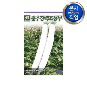 춘추장백 조생무 씨앗 30g . 단무지무 채소 무우 봄 가을 파종 텃밭 씨 종자, 1개