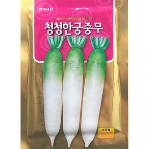 청청한 궁중무 씨앗 무우 종자 김장 가을 단무지 30g, 1개