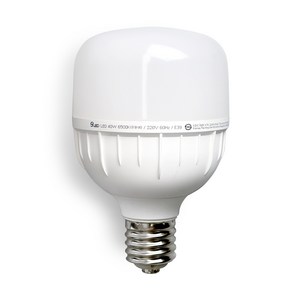 건식 ECO LED 전구 E39 원통 고와트 T램프 보안등 40W, 주광색, 1개