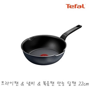 테팔 후라이팬 22cm / 딥팬 무쇠 냄비&볶음팬&프라이팬 겸용, 1개