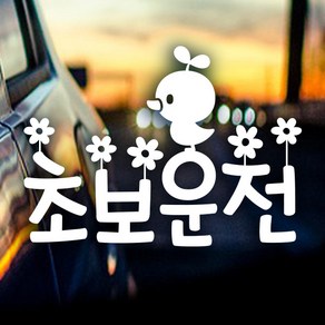 제제데코 초보운전스티커 초보운전 나들이, 반사, 1개