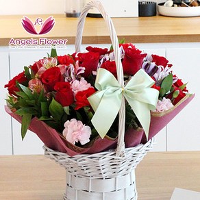 [엔젤스플라워] 축하 꽃바구니 공기정화 관엽식물 서양난 동양난 꽃배달서비스 당일배송 예약일배송, 1개