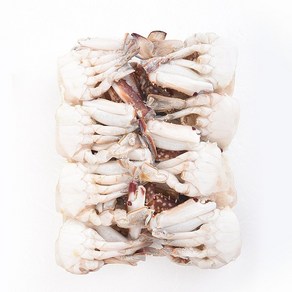 푸드마을 손질 절단꽃게L 꽃게 된장찌개 꽃게탕, 1개, 꽃게L 450g