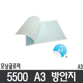 모닝글로리 6000a3방안지