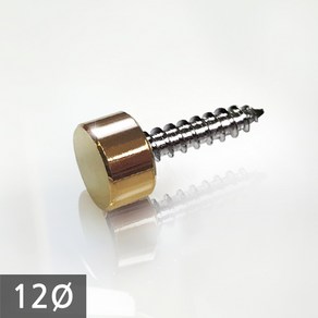 1단 다보볼트 (대포피스형) 12Ø 금색평형 장식볼트, 1개