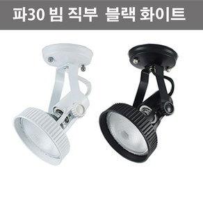 파30 빔 직부 스포트 블랙 화이트 (램프미포함) 직부등기구, 1개