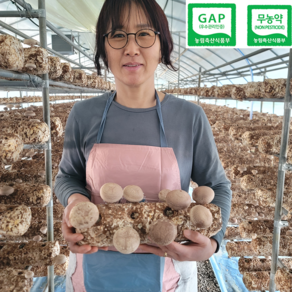 [농부직송] 25년장인 무농약 국내산 표고버섯, 1박스, 2kg (실속형)