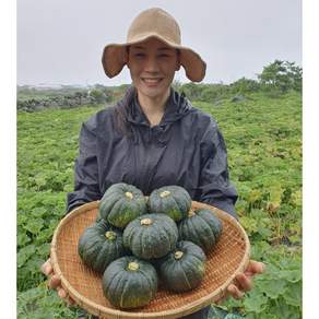 제주 농약불검출 보우짱 미니단호박 밤호박 숙성 최고당도, 400g, 1박스, 특품 로얄과 2kg(3~6개)