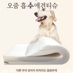 티이엠 애견 오줌 타올 다목적 물 흡수 티슈, 1개, 100개입