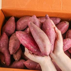 [농부마음] 품질인증 햇 꿀 밤고구마 세척고구마, 5kg(왕특/대품), 1박스