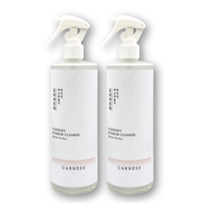 카네스 에코피오니 실내세정제, 2개, 500ml