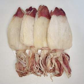 부드러운 반건조 한치, 1개, 2S 500g 25미내외