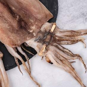 [ 달큰수산 ] 반건조 오징어 10미 (600~700g), 1세트, 600g