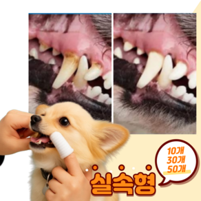 식혜행성 강아지 손가락 거즈 양치 칫솔, 10개, 화이트