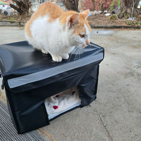길고양이 겨울집 고양이집 길냥이 야외집 하우스 보온 보냉, 1개, 블랙