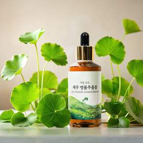 제주산 병풀 100% 병풀추출물, 1개, 100ml