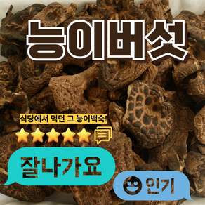 며느리약초 자연산 능이버섯 A급 (특품) 건조 100g, 1개, 100g(1개)