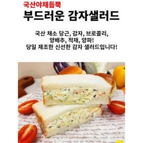 수제 에그 계란 샌드위치 스쿱 감자 샐러드 850g [원산지:국산(제주특별자치도)], 1개