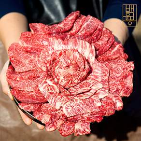 1++한우투뿔 제비추리+삼각살+앞치마살, 600g, 1세트