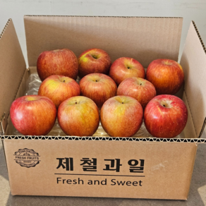 안동 청송 문경 경북 고산지 아삭한 꿀사과 쥬스용 가정용, 1개, 사과 못난이 대과 2kg(5-8과)