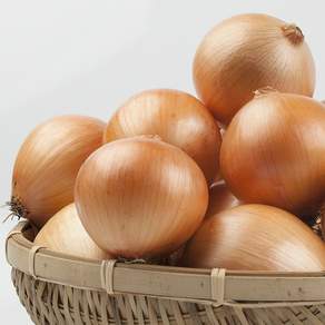 국산 25년 햇양파, 1박스, 1.5KG(중)