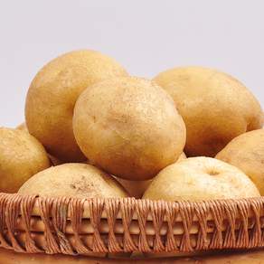 [푸르젠] 포슬포슬 감자, 1개, 감자 5kg (대)