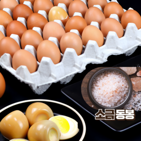 자연목초 당일생산 신선배송 대란 구운계란, 1개, 30구